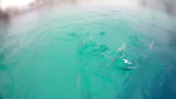 Wasseroberfläche Des Pools Bildet Sich Aus Herabfallenden Regentropfen Torkuppel Halb — Stockvideo