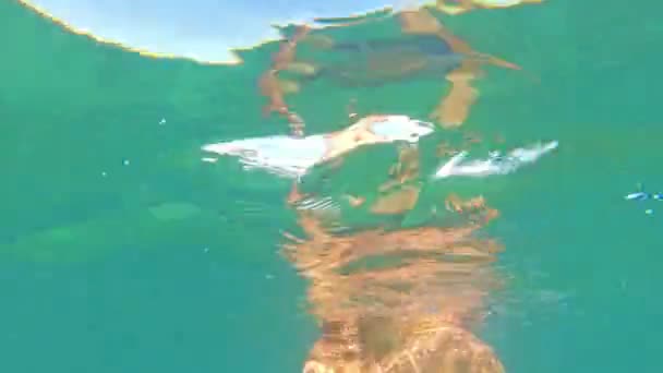 Homem Mergulhando Água Azul Com Olhos Abertos Flutuou Volta — Vídeo de Stock