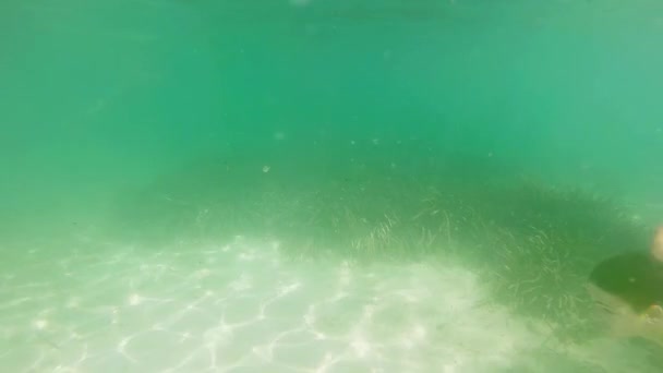 Buceo Niño Mirador Submarino Movimiento Lento — Vídeo de stock