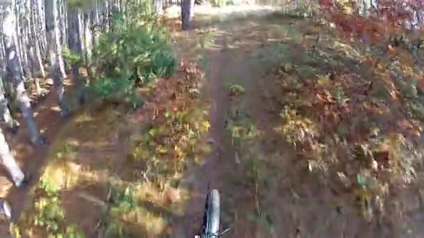 秋季山地骑自行车的看法 — 图库视频影像