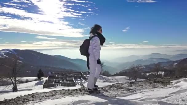 Plecak Ładunkiem Wycieczkowicz Kobieta Niebezpieczne Śniegu Lodu Pokryte Góra Horyzont — Wideo stockowe