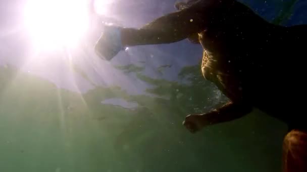 Diver scuba shell collecting. SLOW MOTION Underwater shark view of surface swimming man — Stock Footage Diver Scuba Shell Collecting Slow Motion Underwater Shark View Surface Royalty Free Stock Footage