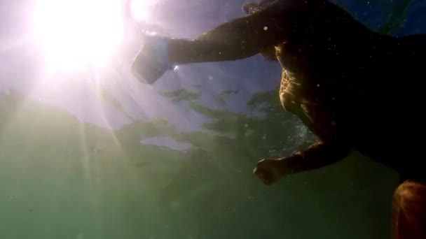 Diver Scuba Kabuk Toplamak Yüzey Yüzme Adam Ağır Çekim Sualtı — Stok video