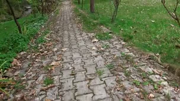 Caminando Largo Mosaico Piedra Pavimentación Otoño Hojas Camino Bosque Sony — Vídeo de stock