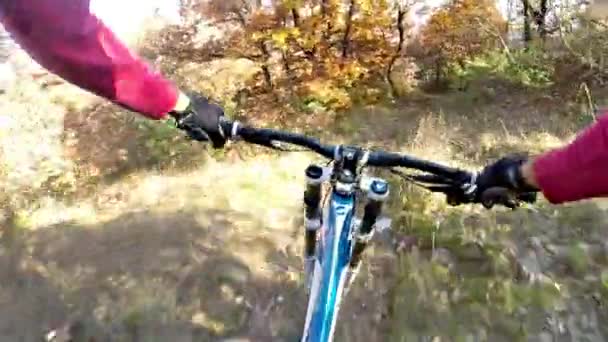 Hegyre Lovaglás Kerékpár Ősz — Stock videók
