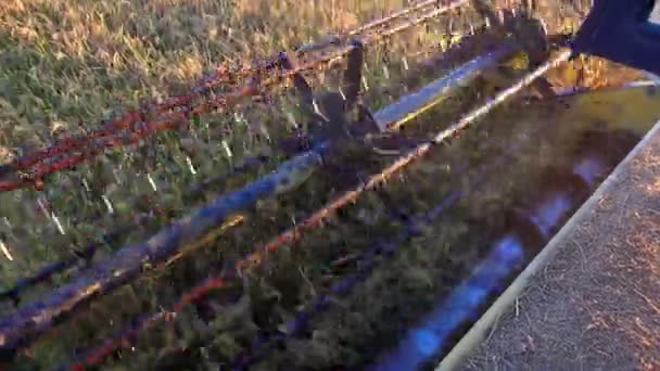 Close Combine Blades Harvesting Wheat Rice Rye — Stock Video