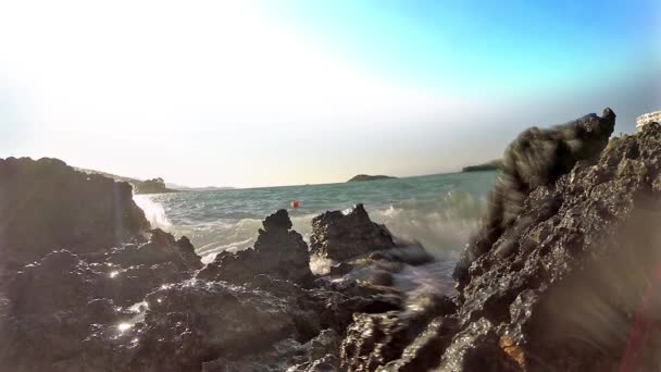 Movimento Lento Das Ondas Oceânicas Cair Nas Rochas Pôr Sol — Vídeo de Stock