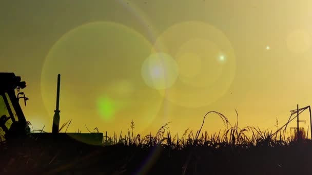 Σιλουέτα Του Τρακτέρ Συγκομιδή Των Καλλιεργειών Φόντο Ηλιοβασίλεμα — Αρχείο Βίντεο