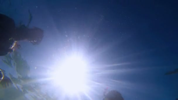 Prise Vue Sous Marine Silhouettes Couple Plongée Avec Tuba Baignade — Video