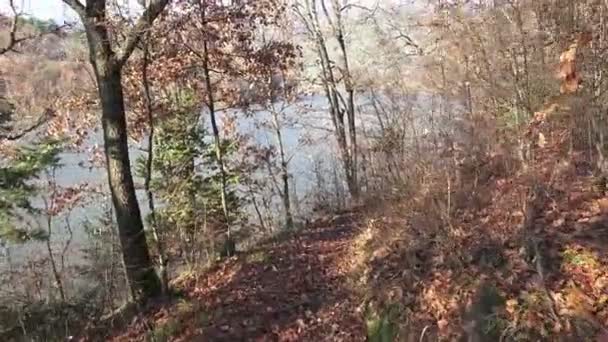 Yağmur Ormanı Orman Yolunda Yürüyen Yürüyüşçü Göl Yakınındaki Steadycam Uhd — Stok video