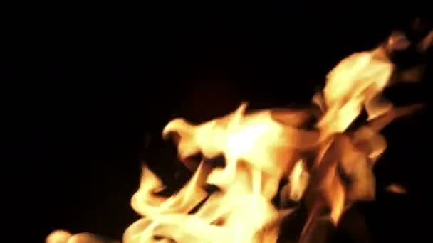 Lenguas Fuego Oscuridad — Vídeo de stock