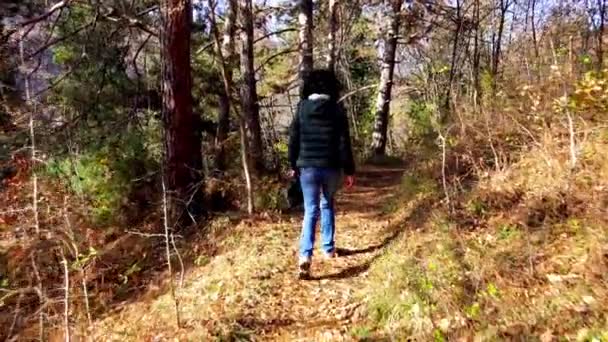 Mujer Caminando Por Camino Del Bosque Durante Día — Vídeos de Stock