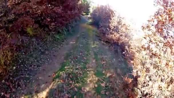 Macedonia Skopje Dicembre 2016 Escursioni Mountain Bike Estreme Autunno — Video Stock