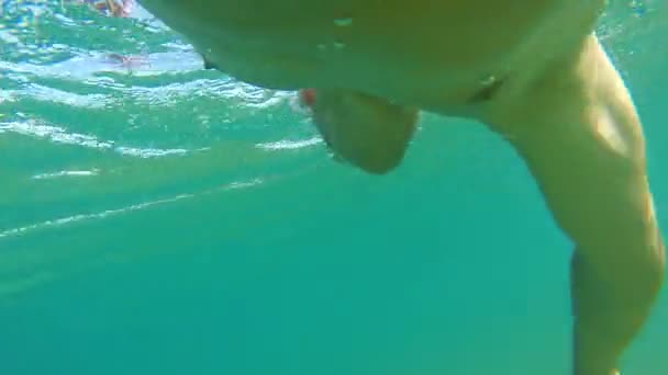 Unterwasserblick Auf Professionelles Schwimmtraining Schwimmbad — Stockvideo