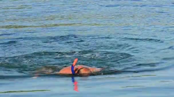 海でシュノーケリングする男 — ストック動画