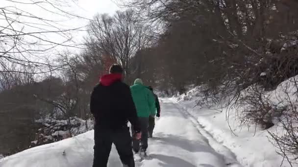 Homens caminhando através da floresta de neve — Vídeo de Stock