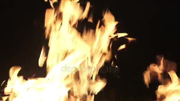 Ogień Płomień spalanie na czarny — Wideo stockowe