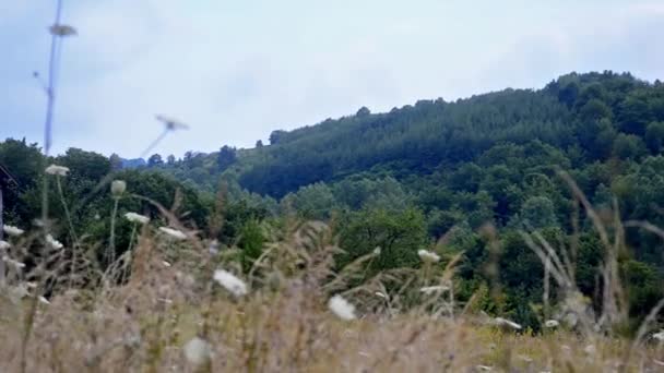 Oogpunt Van Oude Houten Schuur Het Land Onder Bewolkte Hemel — Stockvideo