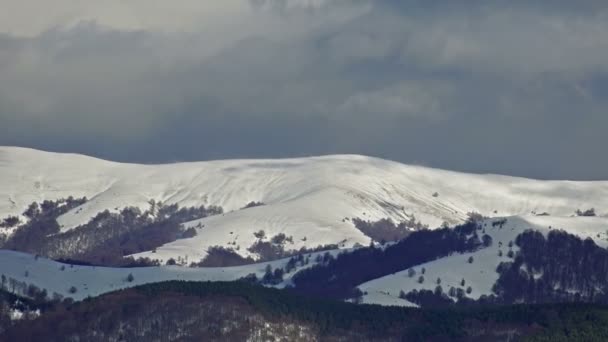 Sneeuw Bedekt Bergen Een Winterdag Blauwe Hemelachtergrond — Stockvideo