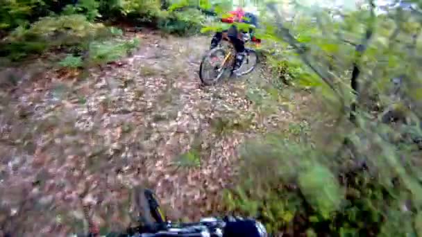 Twee Van Mountainbikers Rijden Downhill Cursus — Stockvideo