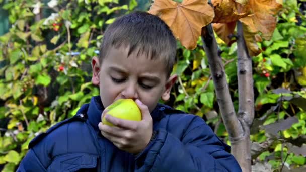 少年食用リンゴと庭園笑顔 — ストック動画