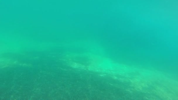 Visão Subaquática Treinamento Profissional Natação Mar — Vídeo de Stock