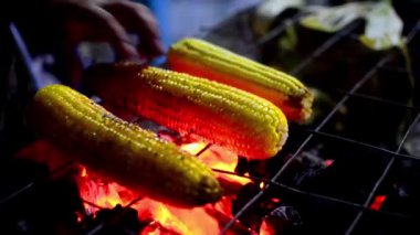 Mısır üzerinde kömür mangal geceleri