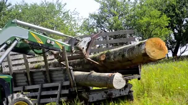 Tractor Suma Madera Cortada Montón Video Stock — Vídeos de Stock