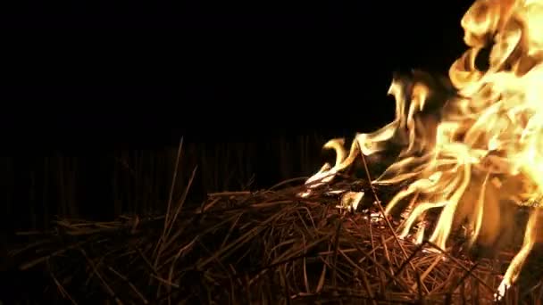 Elden Brinnande Halm Mörker — Stockvideo
