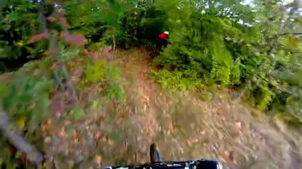 Twee Van Mountainbikers Rijden Downhill Cursus — Stockvideo