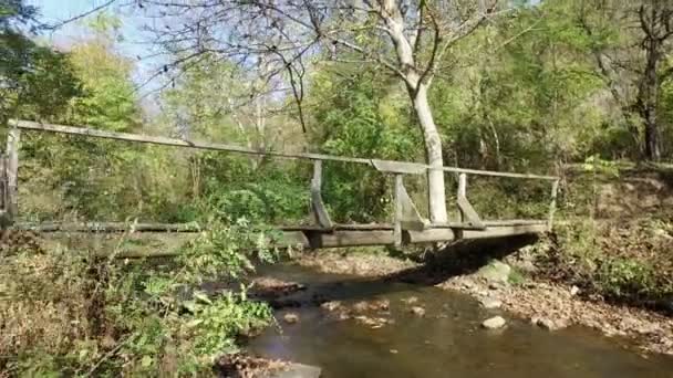 Γυναίκα Που Περπατά Στο Δασικό Πάρκο Ξύλινη Γέφυρα Πάνω Από — Αρχείο Βίντεο