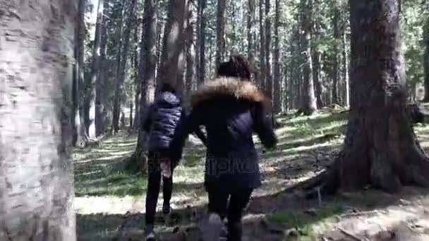 Siguiendo Dos Jóvenes Corriendo Bosque Otoño — Vídeos de Stock