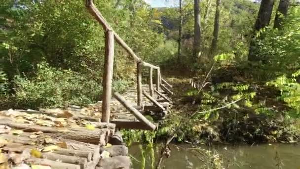 Kvinnan Kör Forest Park Med Träbro Över Floden — Stockvideo