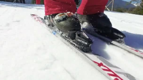 Zijaanzicht Van Skiërs Benen Helling Met Pijnbomen Aan Zijkant — Stockvideo