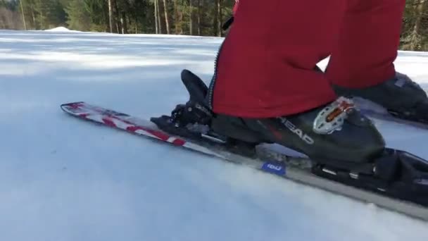 Zijaanzicht Van Skiërs Benen Helling Met Pijnbomen Aan Zijkant — Stockvideo