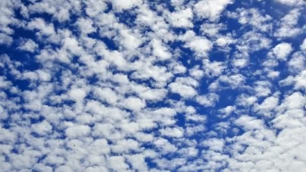 Timelapse Van Wolken Die Bewegen Blauwe Hemelachtergrond — Stockvideo