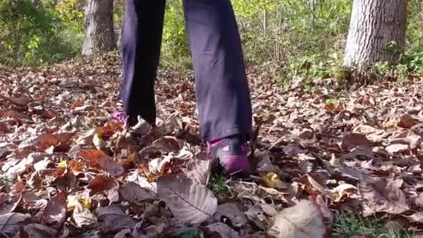 Movimiento Lento Mujer Caminando Parque Forestal — Vídeo de stock
