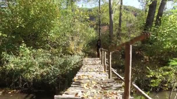 Mujer Corriendo Parque Forestal Con Puente Madera Sobre Río — Vídeos de Stock