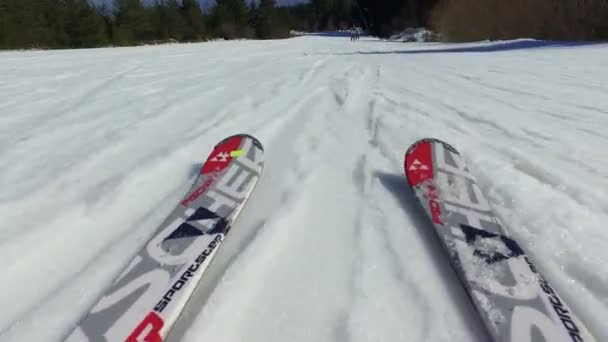 Låg Vinkel Pov Skidåkare Ben Backe Med Träd Vid Sida — Stockvideo