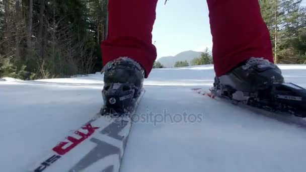 滑雪者腿的低角度在倾斜与树在边 — 图库视频影像