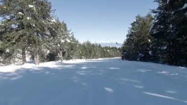 Güzel çam ağaçları kayak pisti arasında kayak kayakçı, kişisel bakış açısı