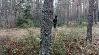 Alone sisli ormanda yürüyüş sırasında sonbahar kadını kaybettim