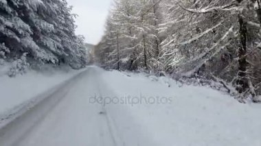 Kar kaplı dağ yolda sürüş
