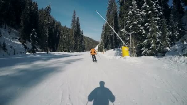 Pov Σκιέρ Σκι Κάτω Από Την Πλαγιά Σκάλισμα Μικρή Αριστερά — Αρχείο Βίντεο