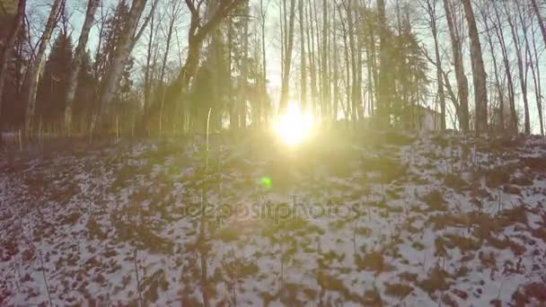 Pov Verschneiten Wald Bei Sonnenuntergang — Stockvideo