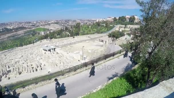 Blick Aus Der Vogelperspektive Auf Orthodoxe Juden Die Auf Einer — Stockvideo