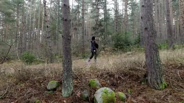 Követően Egyedül Elveszett Nőt Walking Ködös Erdő Ősz Folyamán — Stock videók