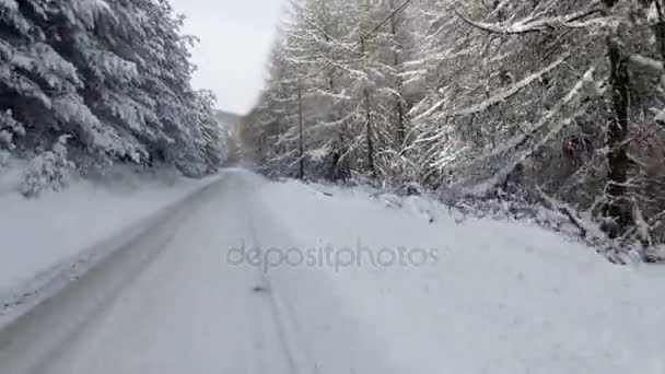 行驶在积雪覆盖的山路上 — 图库视频影像