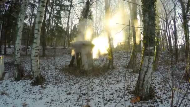 Slow Motion Snö Täckte Skogsstigen Och Termiska Vattenavdunstning Sunset Bakgrund — Stockvideo