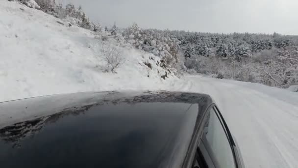 森の背景に雪道で車を移動の背後にあるリアビュー — ストック動画